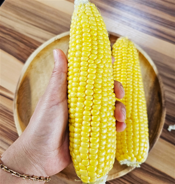 리뷰_1.jpg